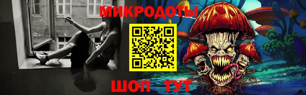 Урюпинск  Галлюциногенные грибы Psilocybine cubensis  Вход с VPN 